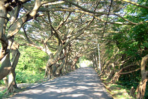 �_���q�t�J�٪L���D